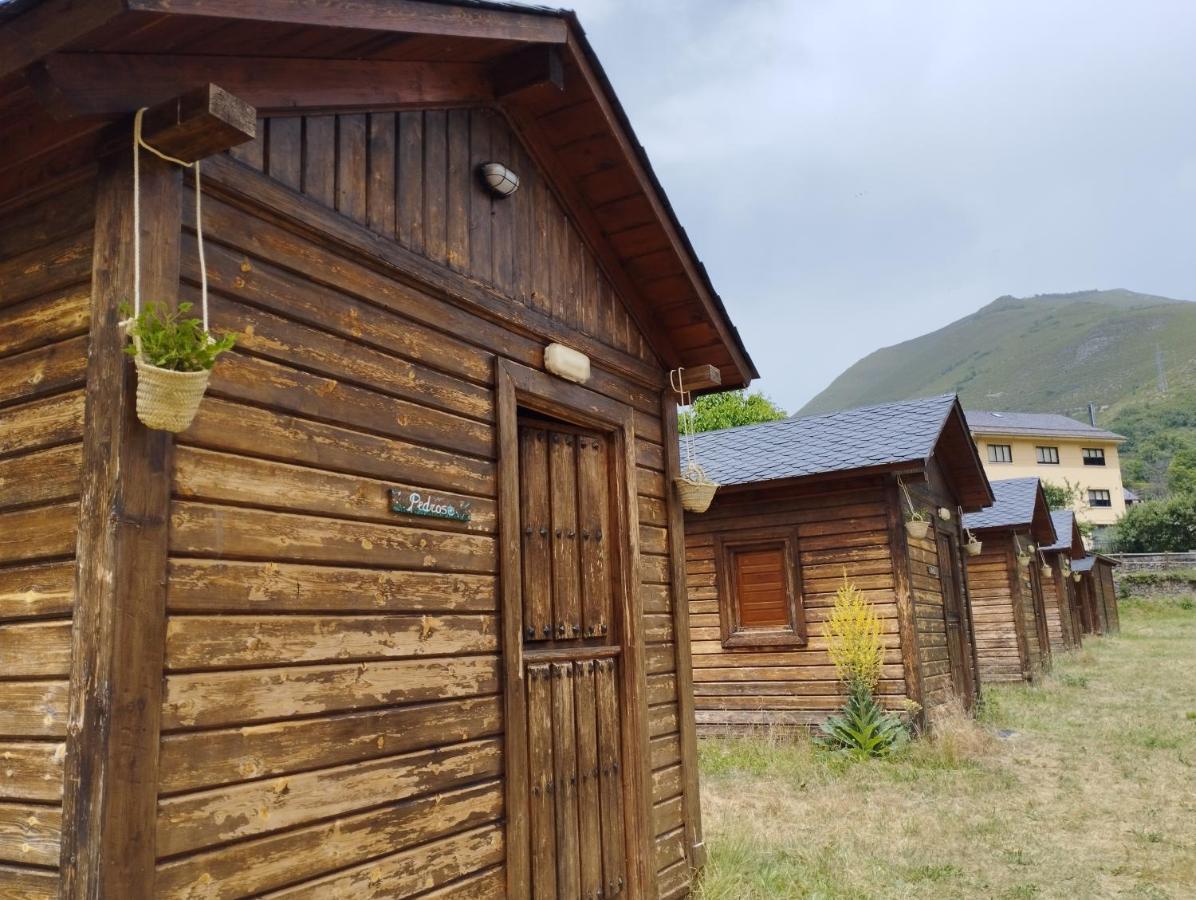 Camping La Zarapica - Palacios Del Sil Екстериор снимка